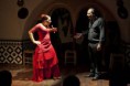 /album/fotogaleria-inicio/flamenco-barcelona-2-jpg/